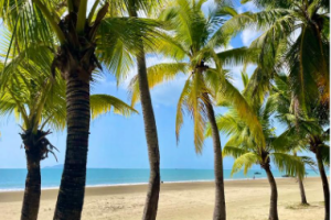 【海南4日遊】度（dù）假海岸（海景版）
